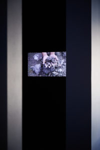 Graeme Atkins, Alex Monteith, Natalie Robertson, with work by Kahurangiariki Smith and Aroha Yates-Smith. Ko te kongakonga pakohe—Mudstone crumbled into fragments, 2019 (install view). Video 14 mins 32 secs. Commissioned by Te Tuhi, Auckland, with support from Auckland University of Technology and University of Auckland. Photo by Sam Hartnett.