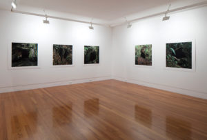 Caroline McQuarrie, Homewardbounder #01 – 07, 2013 – 14 (installation view). Digital photographic print on Hahnemuhle Photo Rag, 900mm x 900mm. Courtesy of the artist. Photo by Sam Hartnett.