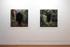 Caroline McQuarrie, Homewardbounder #01 – 07, 2013 – 14 (installation view). Digital photographic print on Hahnemuhle Photo Rag, 900mm x 900mm. Courtesy of the artist. Photo by Sam Hartnett.