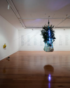 Jenny Gillam & Eugene Hansen with Adrian McCleland, At a distance of forty-two days, 2015 (installation view). Commissioned by Te Tuhi, Auckland. Photo by Sam Hartnett