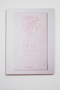 Katrina Beekhuis, Photograph of Pot plant painting (Potters pink), 2016. Print on Hahnemuhle paper mounted on aluminium. Commissioned by Te Tuhi, Auckland. Photo by Sam Hartnett.