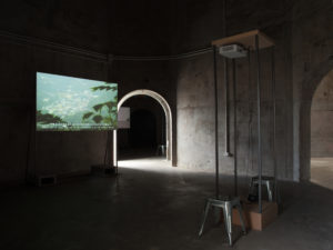 Chang En-Man, Arena, 2012 (installation view). Video 7 mins 51 secs. Photo by David Straight.
