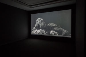Shannon Te Ao, A torch and a light (cover), 2015 (installation view). Single-channel video and sound 7 mins 33 secs looped cinematography by Iain Frengley featuring text from ‘He waiata aroha’ (A song of love), author unknown, trans. Heni Turei and Materoa Ngarimu. Photo by Sam Hartnett courtesy of Mossman, Wellington.