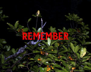 Remember - I Remember Mountains