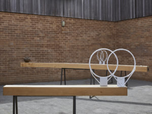 Matt Coldicutt, Front: Units of Habitation: The Universal Set of Logical Relations, 2019 (installation view). Steel, rimu, basketball hoops (St Mary’s College/inorganic collection). Back: Units of Habitation: Schematic for Social Buoyancy, 2019 (installation view). Steel, rimu, bronze, water. Commissioned by Te Tuhi, Auckland. Photo by Sam Hartnett.