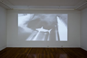 Rangituhia Hollis, Kia mate mangō-pare, 2012. Audio by the Puehu wha¯nau, digital video, 6:9, black & white 5 mins. Photo by Sam Hartnett.