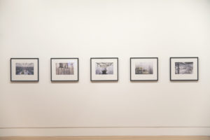Wayne Barrar, Imaging Biosecurity, 2006-2007 (installation view). C-type prints. Courtesy of Milford Galleries, Auckland.