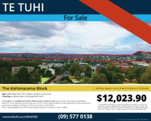 Matt Ritani, The Block, 2020 (detail). Commissioned by Te Tuhi, Tāmaki Makaurau Auckland