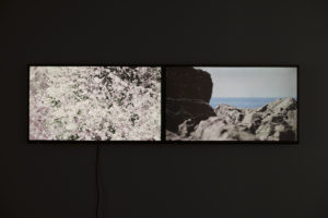 Nathan Pohio, Sfakia – day for night, two files for two monitors, 2018 (installation view). HD two-channel video, 46 mins. Courtesy of the artist and Jonathan Smart Gallery. Photo by Sam Hartnett.
