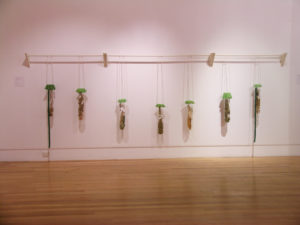 Christine Hellyar, Cook’s Gardens, 2006 (installation view).