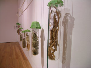 Christine Hellyar: Cook’s Gardens, 2006 (installation view).