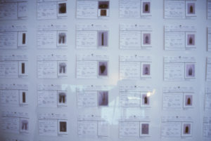 Areta Wilkinson: Carnegie Storage, 1996 (installation view).