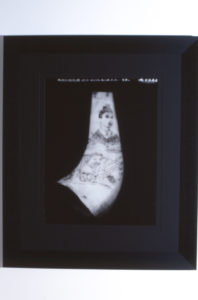 Fiona Pardington, Whalers Scrimshaw Powder Horn, 2002, photography, courtesy of Jensen Gallery