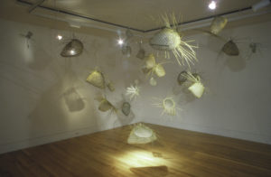 Maureen Lander, Moth Catcher Kitsets, (installation view).
