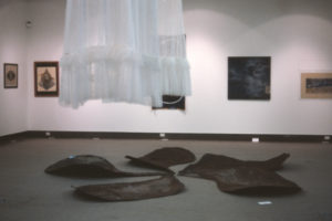 Paringa Ou, 1999 (installation view), curated by Ian George