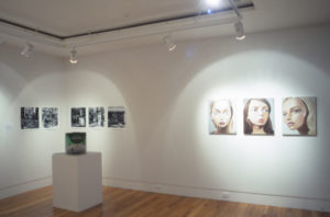Portraiture: The Art of Social Commentary, 2003, (installation view), curated by Rhoda Fowler