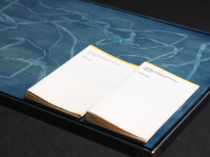 Eleanor Cooper, The Enigmas of a Suburban Lake & Other Stories, 2020 (installation view). Printed booklet. Text by Eleanor Cooper, design by Xin Cheng. Courtesy of the artist. Photo by Sam Hartnett.