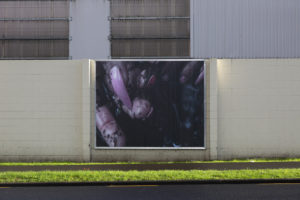 Connor Fitzgerald, THE DOLLS are gods, 2021 (detail, Reeves Road). Inkjet billboard prints. Commissioned by Te Tuhi, Tāmaki Makaurau Auckland. Photo by Misong Kim.