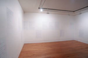 Billy Apple, Severe Tropical Storm 9301 Irma, 2006 (installation view).