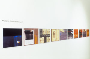 Gail Haffern, Why did the chicken cross the road?, 2004 (installation view). Computer prints.