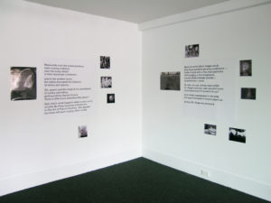 Andrea Gardner & Evelyn Reilly, The Ecopoetics of Peep, 2006 (installation view).
