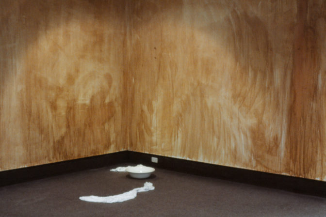 Joyce Campbell, Scour, 1995 (installation view).