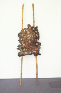 Chris Booth, Neptunes Necklace at Blacksmith Bay, 1986. Manuka, bronze, pigment.