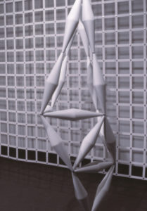Chiara Corbelletto: Essenza and Affinita, 1997 (installation view).