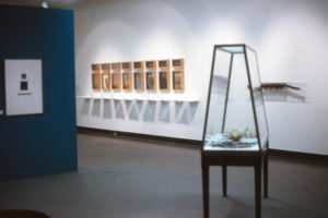 Carole Shepheard: In Detail, 1998 (installation view).