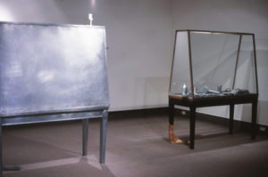 Greer Twiss: A Case of Representation, 1998 (installation view).