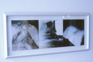 Maureen Paltridge, Facing the unfaceable, 1999 (installation view).