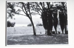 Don Binney, From Tarawera Suite (1), 1986. Black and white photographs. 135mm x 190mm.