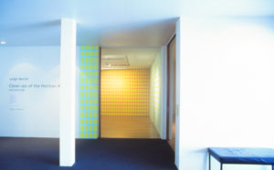 Leigh Martin, Close-ups of the Horizone #2, 2002 (installation view). Wall paintings.