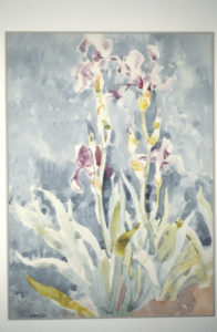 Olivia Spencer Bower, Irises, 1973. Watercolour. 750mm x 550mm.