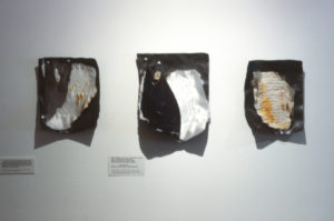 Gwen Wanigasekera: Quilts, 1993 (installation view).