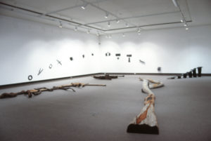 Peter Nicholls: Crossings, 1992 (installation view).