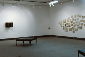 Julia Morison: Re-rite, 1994 (installation view).