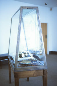 Carole Shepheard: Domestic Trophies, 1996 (installation view).