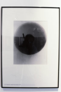 Lászlò Moholy-Nagy, Fotogramm, (installation view).