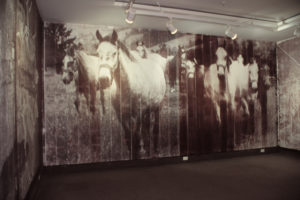 Peter Gibson Smith: Amazon on a Dying Horse, 1995 (installation view).