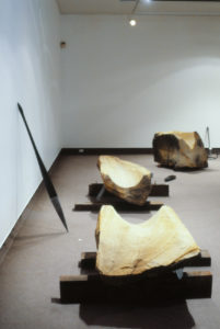 Stephen Mulqueen: Papakihau, Slapped by the Wind, 1995 (installation view).