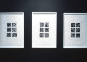 Black/White: A Journey into Contrast, 2004 (installation view).