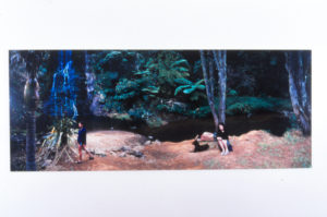 Greta Anderson: The Stand-ins, 2003 (installation view).