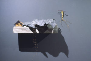 Native Bird Productions, 2004 (installation view).
