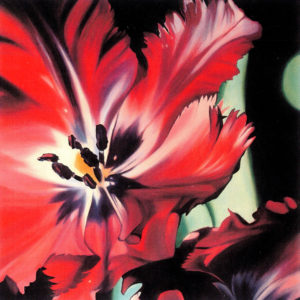 Jennifer Harmes, Black Tulip, 2003. Oil on canvas.