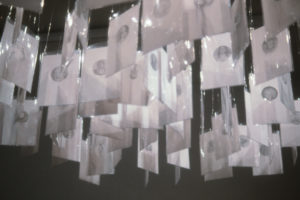 Mary McIntyre: The Shades, 2000 (installation view).