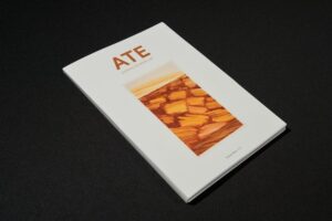 ATE Journal of Māori Art Volume Two, 2020. Co-edited by Bridget Reweti & Matariki Williams. Paperback, full colour. 260mm x 185mm, 122pp. Edition of 550. Published by ATE Press, Whakatāne and Ōtepoti.