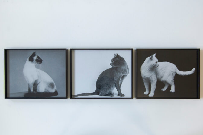 Ava Seymour, Story Of Love, 2022 edition of 3 sets of 3 + 1 AP, signed and numbered certificate set of three framed digital c-type prints  each 312mm x 252mm x 35mm