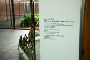 Susu 蘇子誠, Skin in craters like the moon, 2024 (installation detail). Photo courtesy of Te Tuhi.