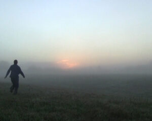 Layne Waerea, An unsuccessful attempt at chasing fog, 2012, (7 min 15 sec)